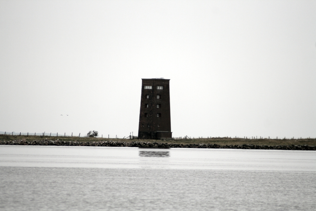 VWG vogelreis Oost Duitsland mei 2010 200